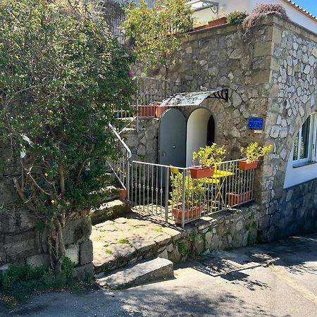 Villa Valentina Suite Massa Lubrense Bagian luar foto