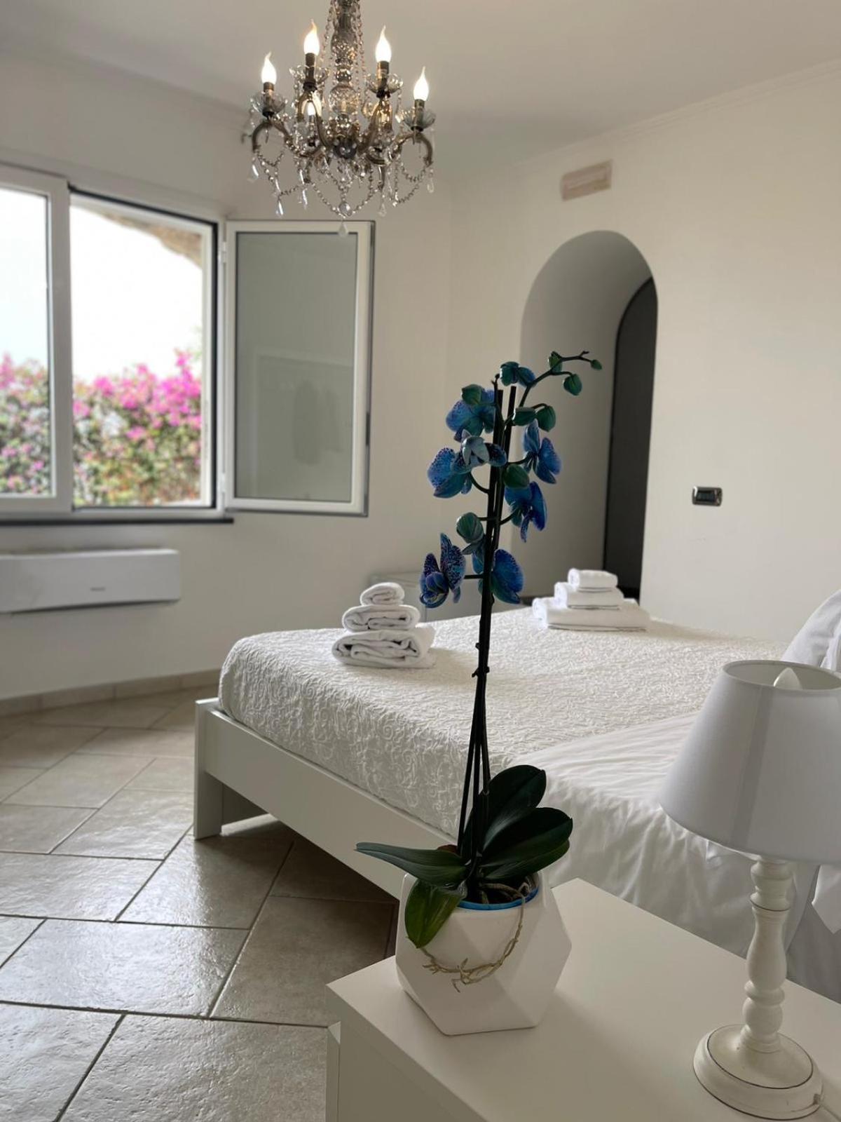 Villa Valentina Suite Massa Lubrense Bagian luar foto